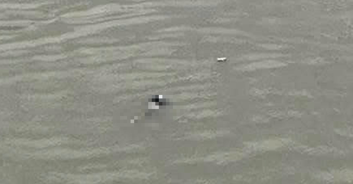 Ha Noi Danh Tinh Nguoi Phu Nu Bo Lai Xe May Roi Nhay Cau Chuong Duong 932