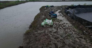 Hai Nguoi Tu Vong Nghi Bi Set Danh 1752