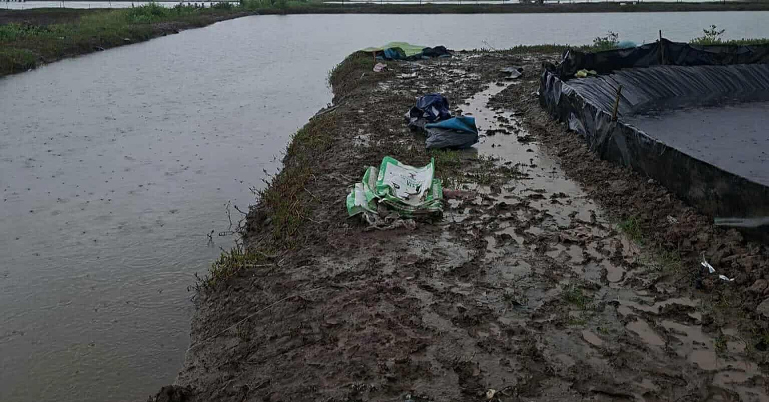 Hai Nguoi Tu Vong Nghi Bi Set Danh 1752