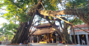 Hanh Trinh Tam Linh Trong Long Pho Hien Hung Yen 1166