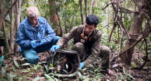 Hanh Trinh Ve Rung Cua Loai Thu Duy Nhat Tren The Gioi Co Vay Cung Phu Co The 1411