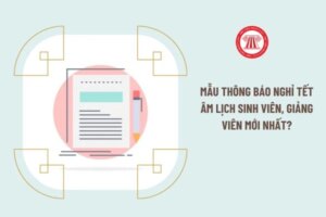 hinh anh 2392