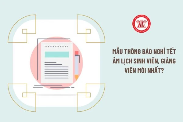 hinh anh 2392