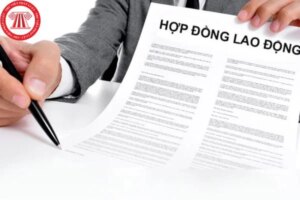 hop dong lao dong duoc ky vao khi nao