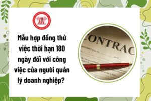 Hop Dong Thu Viec Thoi Han 89O