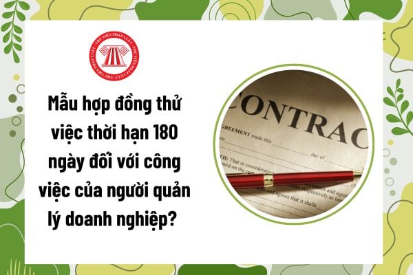 Hop Dong Thu Viec Thoi Han 89O