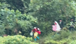 Ilovetikcom Tiktok Media 001 86F9B7B27A800F7025B93E1866C1D393 1668