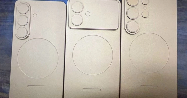 Image21 1763025314969 17630253156492010274876 44 0 894 1360 Crop 176302534442390728620