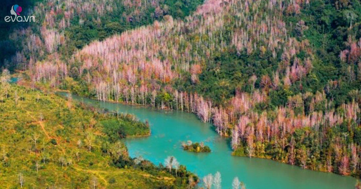 Img Social Uploadbtv 1764129413 889 Thumbnail Width696Height364 Watermark