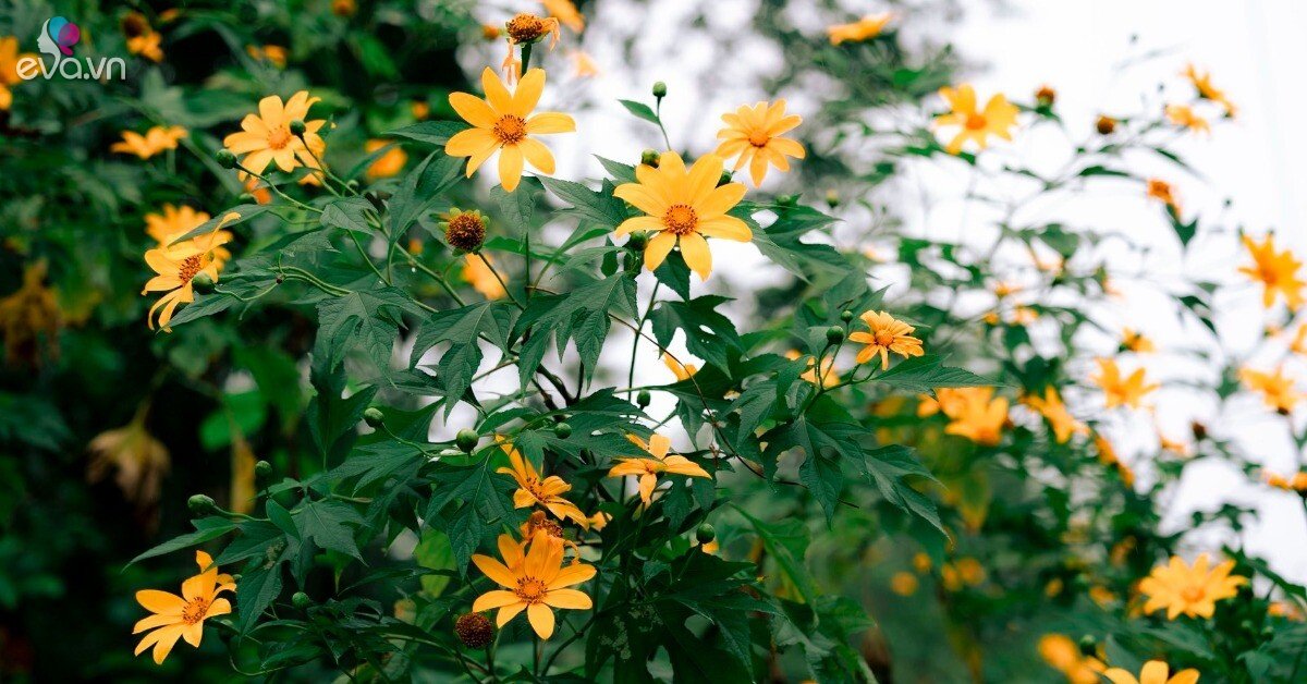 Img Social Uploadbtv 1764596402 974 Thumbnail Width1900Height994 Watermark