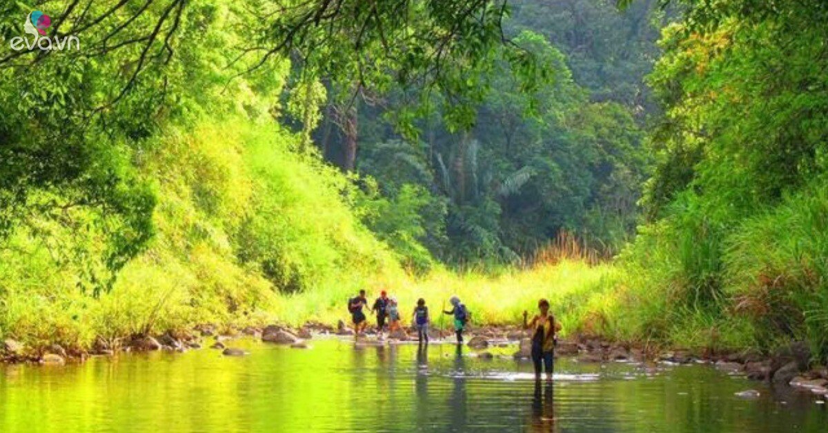 Img Social Uploadbtv 1765188121 254 Thumbnail Width640Height335 Watermark