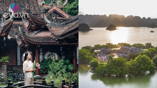 Img Social Uploadbtv Avt2Hanam 4 1763523504 218 Width640Height360 Watermark