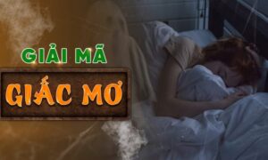 img2341 2117