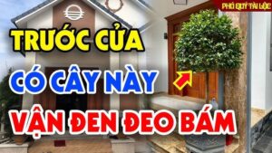 img2977 1329