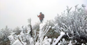 Khong Khi Lanh Manh Mien Bac Co The Xuat Hien Suong Muoi Trung Bo Mua Lon 2343