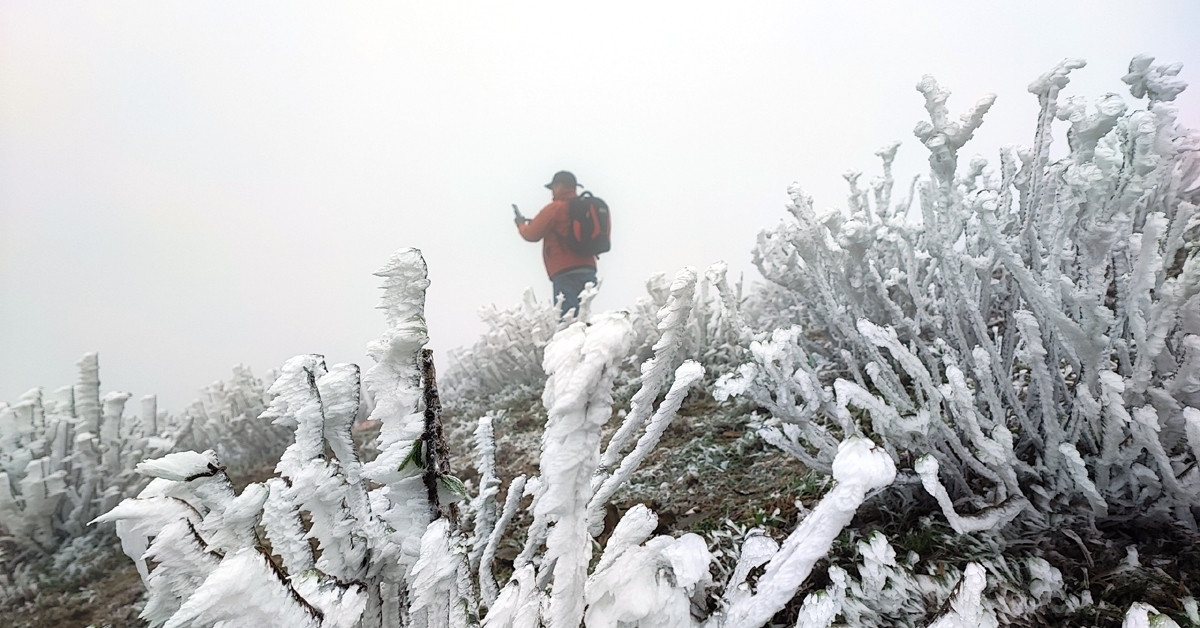 Khong Khi Lanh Manh Mien Bac Co The Xuat Hien Suong Muoi Trung Bo Mua Lon 2343