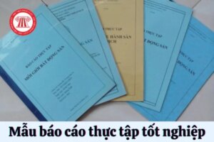 lao dong 73