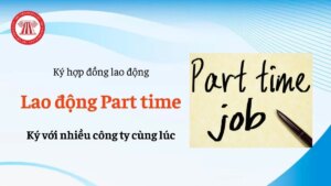 lao dong part time co ky hop dong lao dong voi nhieu cong ty cung luc
