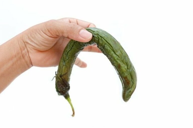 liet duong 1