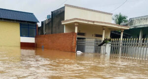 Lu Len Nhanh Khien Hon 1 2347