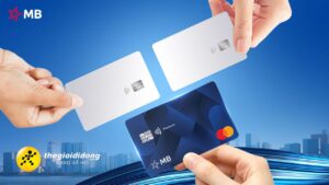 Master638983824555515629