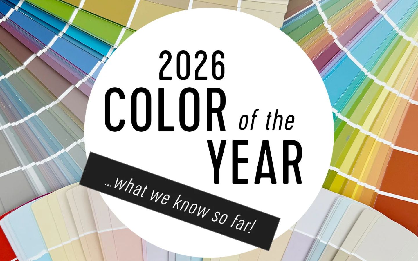 Mau Chu Dao Cua Nam 2026 1