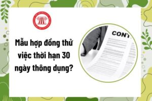 Mau Hop Dong Thu Viec Thoi Han 30 Ngay 8I
