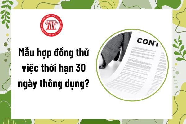 Mau Hop Dong Thu Viec Thoi Han 30 Ngay 8I
