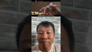 maxresdefault 1089