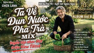 Ta Về Đun Nước Pha Trà - Rời Xa Phố Thị - Rồi Mai Cũng Già | PHONG BLAZE | Album Chữa Lành Vol 8 5 maxresdefault 3028