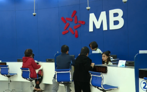 mb 1610430640 1773820695905841273045 1773820832367 17738208335401821584111 0 31 387 650 crop 1773820