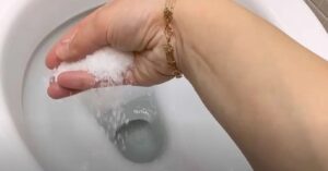 Meo Dung Muoi De Thong Tac Bon Cau Don Gian Hieu Qua Tiet Kiem 185139