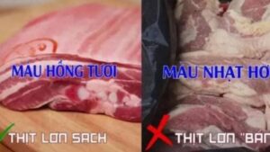 Meo Nhan Biet Thit Lon Tang Trong Nguoi Di Cho Nhieu Kinh Nghiem Thuong Tranh Mua 165404