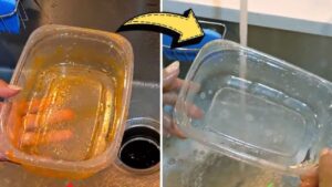 Meo Rua Sach Hop Nhua Hop Thuy Tinh Dinh Day Dau Mo Khong Can Ky Co 002352