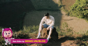 Momo Upload Api 220606165248 637901311682194245