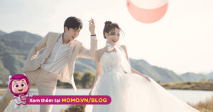 Momo Upload Api 221003140849 638004029290588025