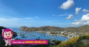 Momo Upload Api 221024112223 638022073433985786