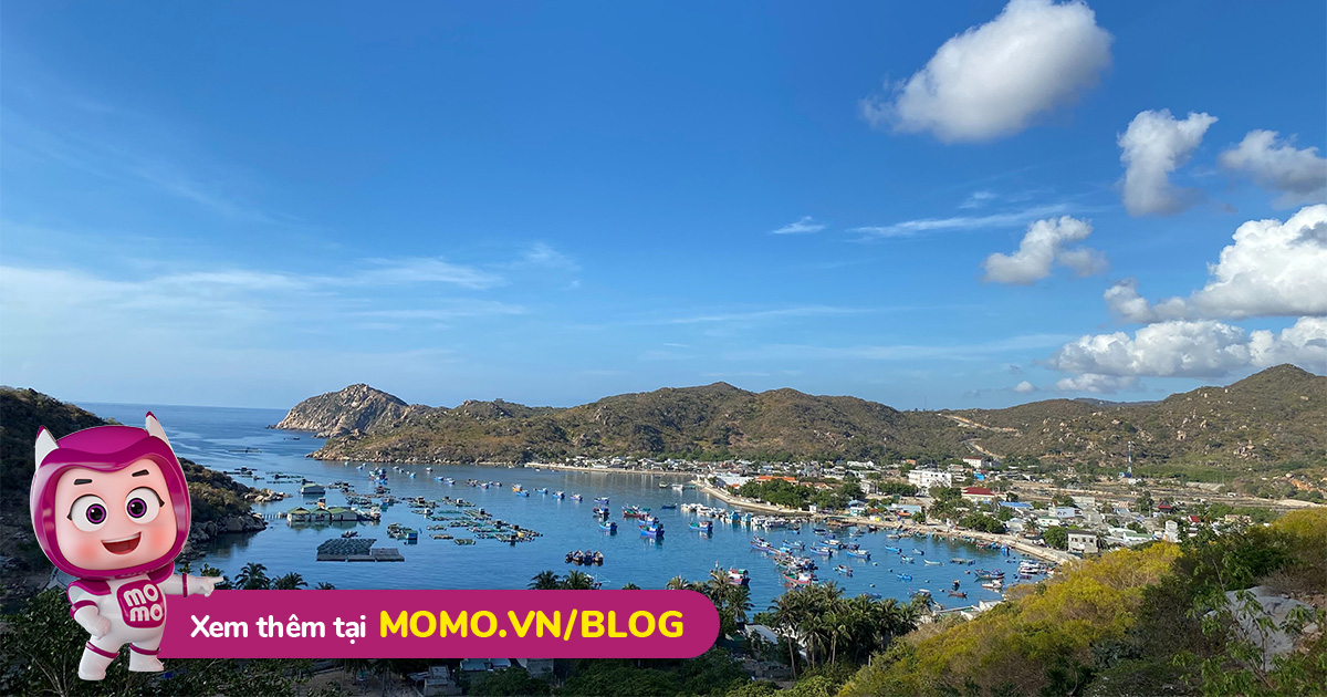 Momo Upload Api 221024112223 638022073433985786