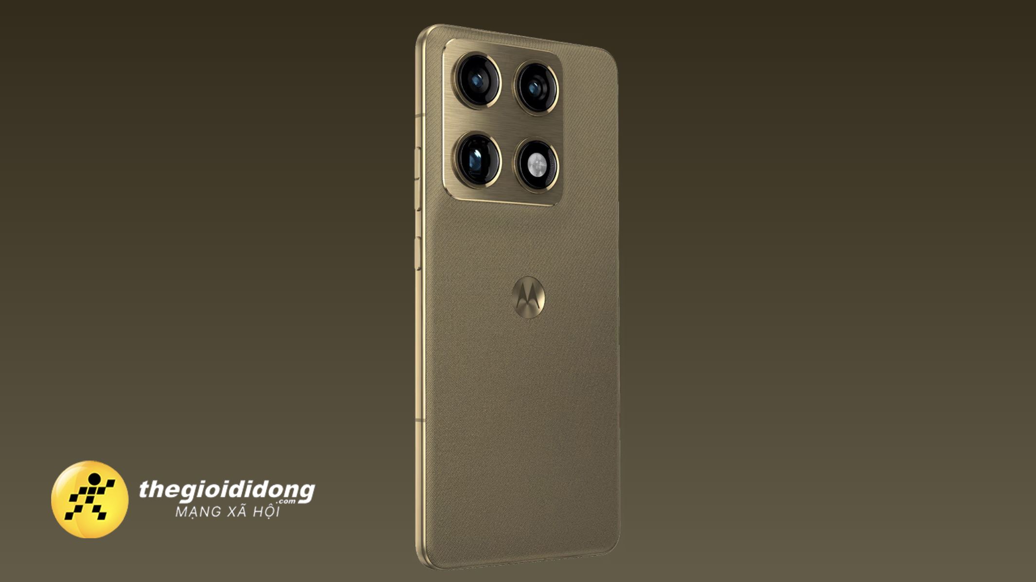motorolaSignature 1639090237631108105