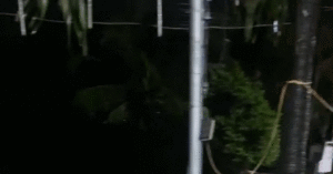 Mua Xoi Xa Gay Ngap Duong Sat O Khanh Hoa Nhieu Tau Phai Tam Dung Chay 1670