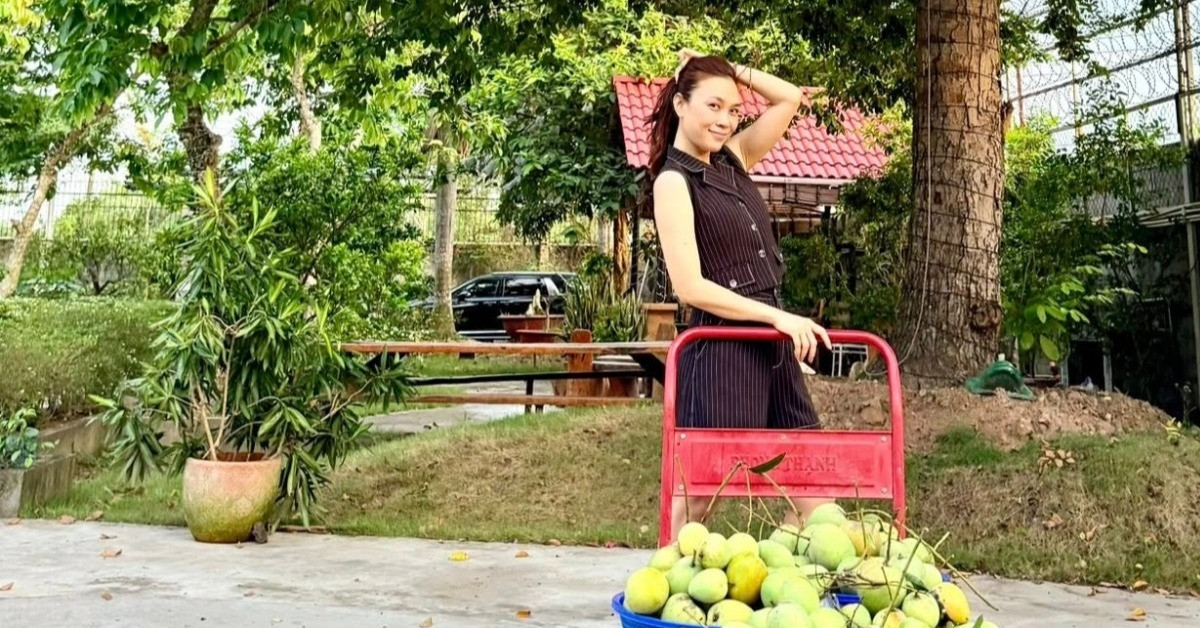 My Tam Rat Ngau Ben Trai Cay Vuon Nha Nsut Xuan Hinh Hat Chau Van 2892