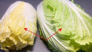 Nen Mua Cai Thao La Vang Hay Cai Thao La Xanh 234419