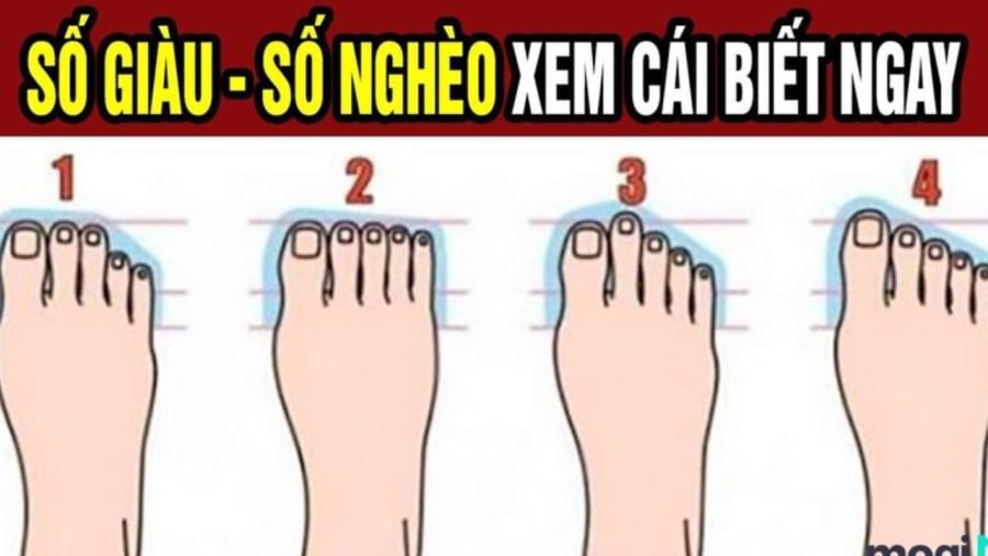 Nguoi Co Tuong Chan Nay Di Tren Tham Do Cang Gia Cang Giau Co 125441