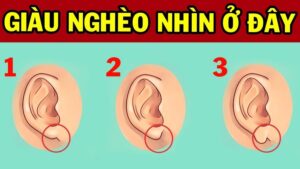 nguoi co tuong tai nay ca doi sung tuc song trong nhung lua 123852