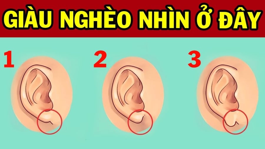 nguoi co tuong tai nay ca doi sung tuc song trong nhung lua 123852