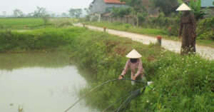 nguoi dan dung nuoc ao ho de sinh hoat giua nang nong gay gat 2913
