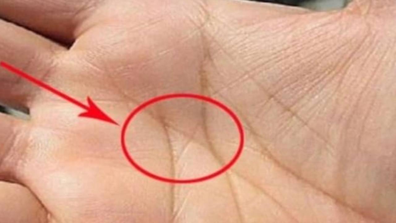 Nguoi Giau Sang De Nhan Biet 3 Dau Hieu Tren Ban Tay Tiet Lo Tai Loc Theo Nhan Tuong Hoc 152054
