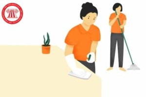 Nguoi Giup Viec Gia20Dinh