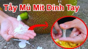 nhua mit dinh day tay hay dao rua mai khong sach chi can lam cach don gian nay 5 phut la sach bong 1