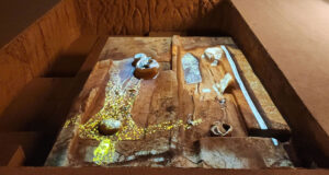 Nhung Kham Pha Khao Co Dac Biet Tai Vuon Chuoi 2670